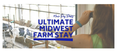 Girl in green tank top using binoculars to look out a loft window at cows in a dairy barn.